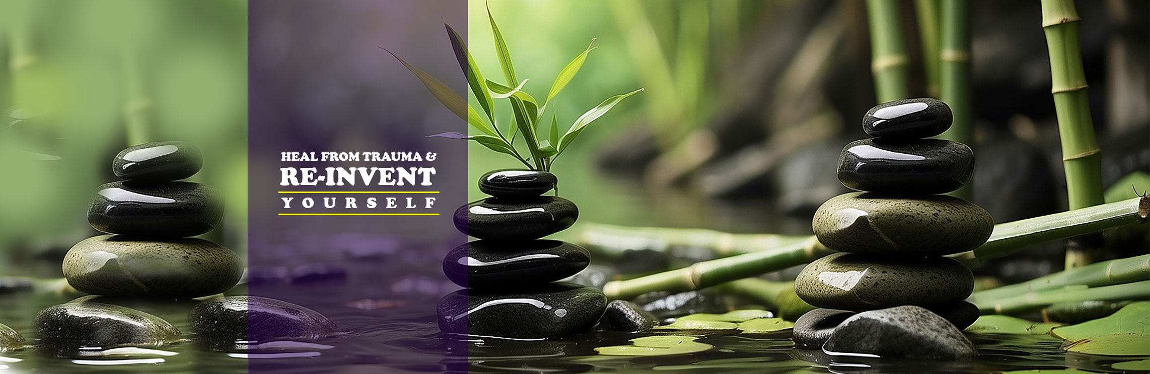 camcode, bluetooth location tracking, asset tag labels, services, gps insight pricing, how to use stolen laptop, anti theft, fleet tracking